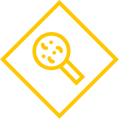 Zenit - Laboratorio de análisis y servicios de diagnóstico veterinario