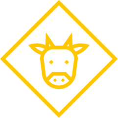 Zenit - Laboratorio de análisis y servicios de diagnóstico veterinario