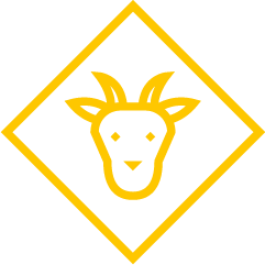 Zenit - Laboratorio de análisis y servicios de diagnóstico veterinario