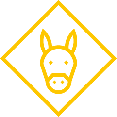 Zenit - Laboratorio de análisis y servicios de diagnóstico veterinario