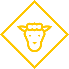 Zenit - Laboratorio de análisis y servicios de diagnóstico veterinario