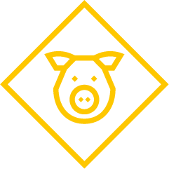 Zenit - Laboratorio de análisis y servicios de diagnóstico veterinario