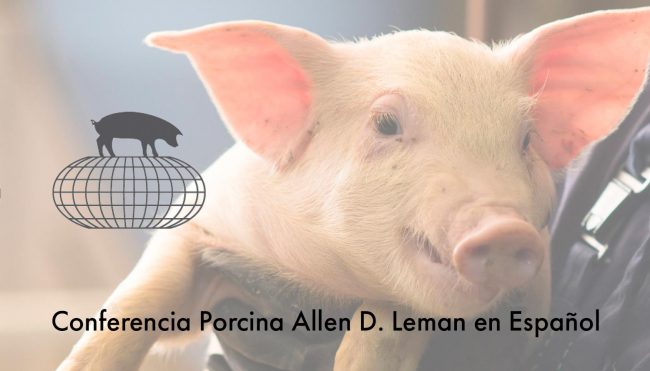 Evento_6182b1b1035ce_03112021