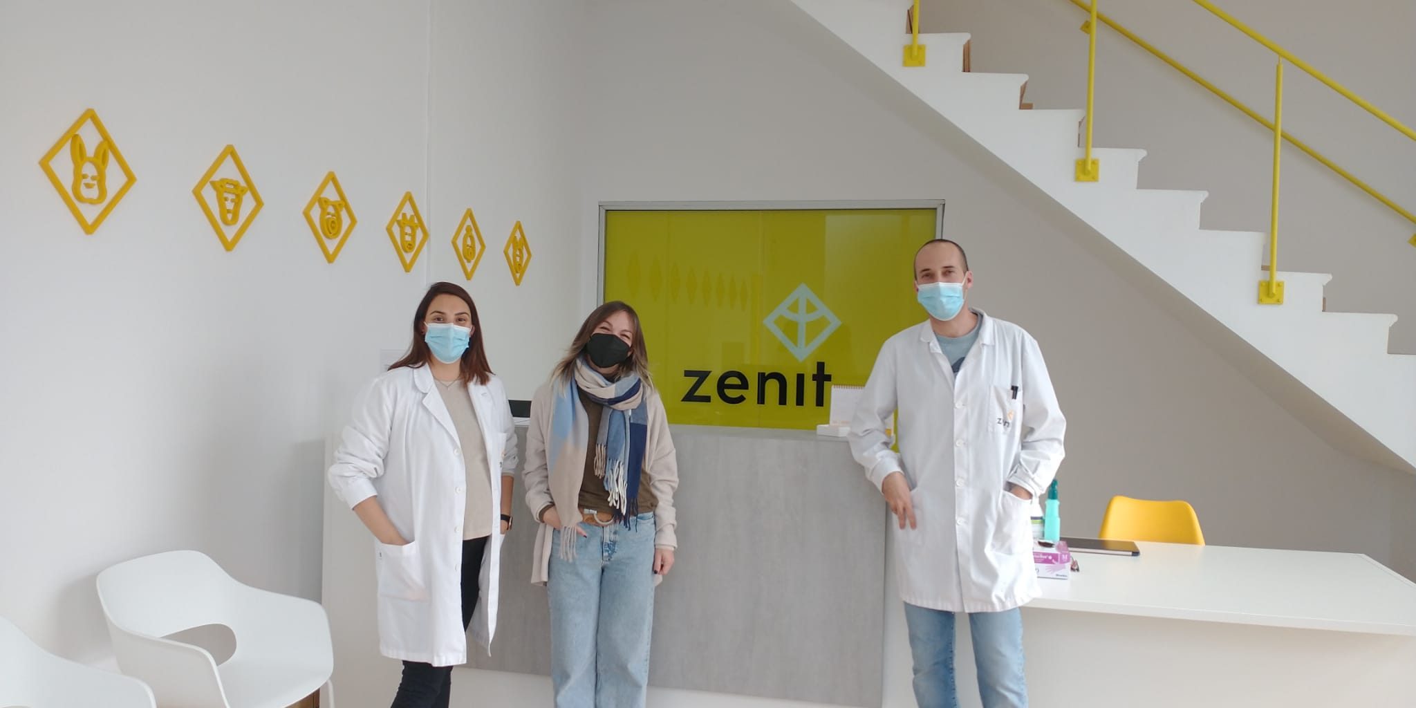 Zenit-Mettler-Toledo-Rainnin-1