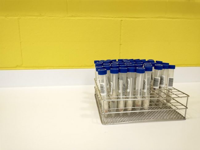 MicrosoftTeams-image (51)