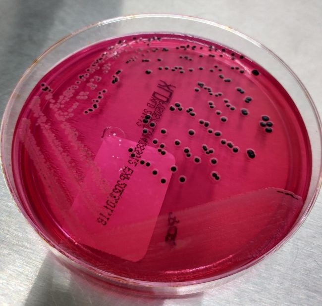 MicrosoftTeams-image (60)