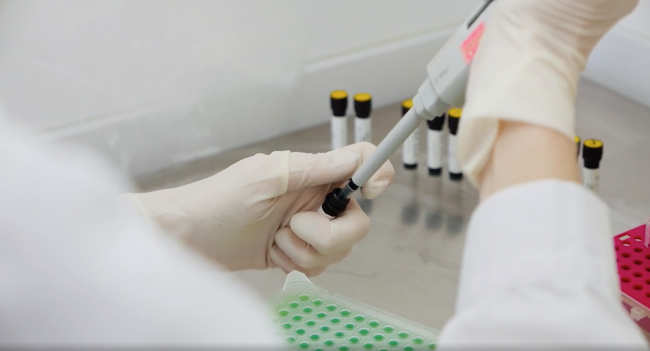 Zenit-sequenciacion-prrs